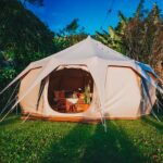 Camping Tent on Grass Lawn