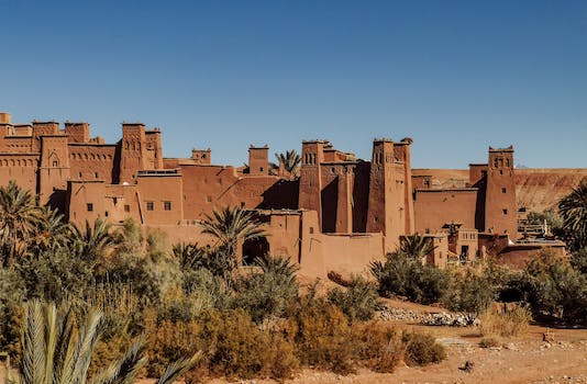 Exterior of old masonry buildings with square shaped windows near dry sandy terrain with growing palm trees and grass under blue sky