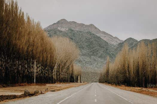 Straight empty asphalt road going through forest with leafless trees towards mountains against cloudy sky in autumn