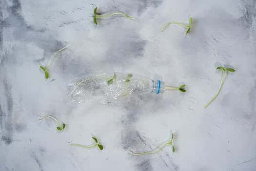 Clear Plastic Bottle on White Sand
