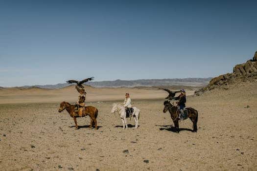 People riding horses along desert terrain